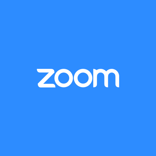 Zoom Video Call